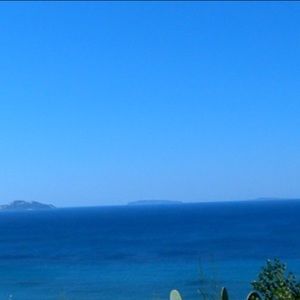 Meet your Posher, Miles